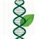 Logo de Certificación Internacional en Nutrigenómica.